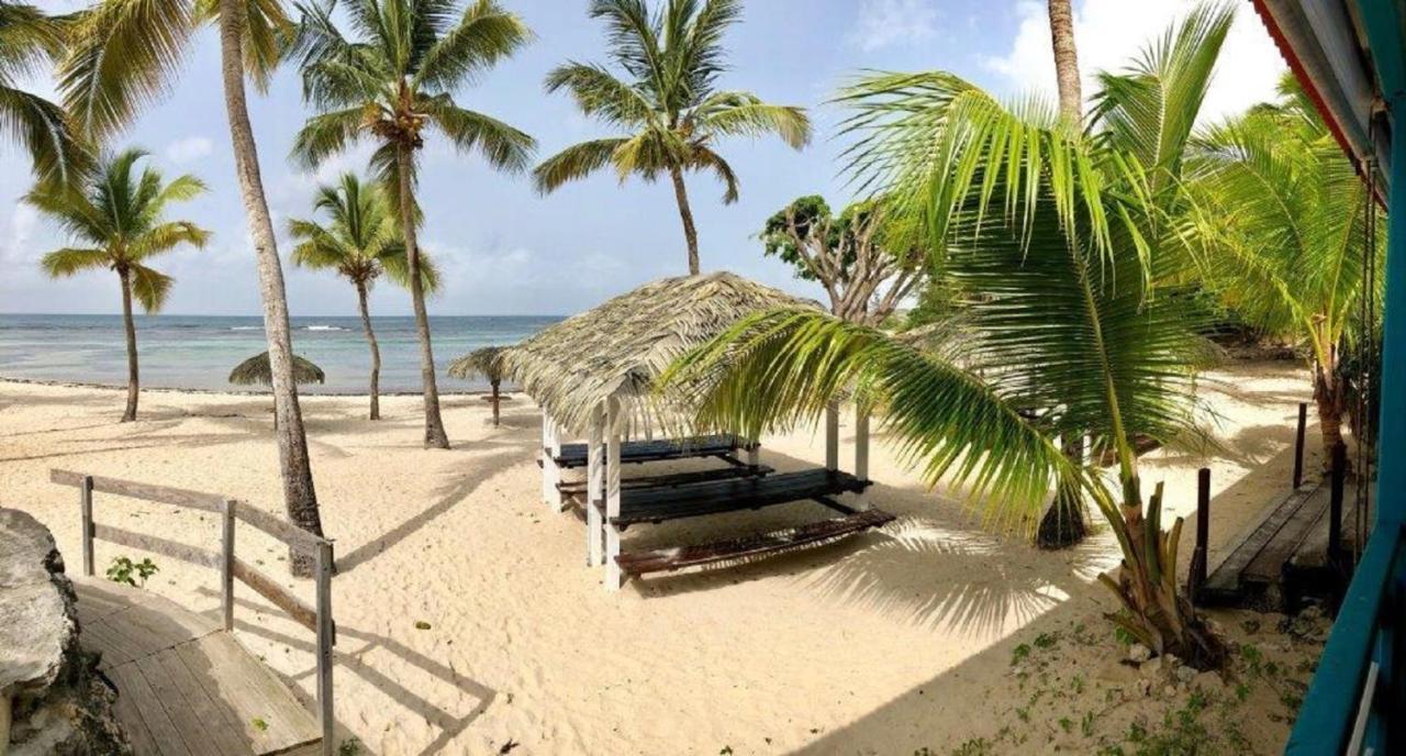 Studio Mojito Vue Mer,Piscine Avec Cuve Eau Et Acces Plage Et Piscine Anse Des Rochers Saint-Francois  Eksteriør bilde