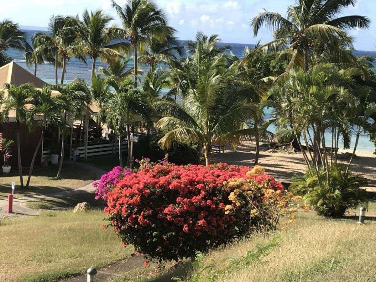 Studio Mojito Vue Mer,Piscine Avec Cuve Eau Et Acces Plage Et Piscine Anse Des Rochers Saint-Francois  Eksteriør bilde