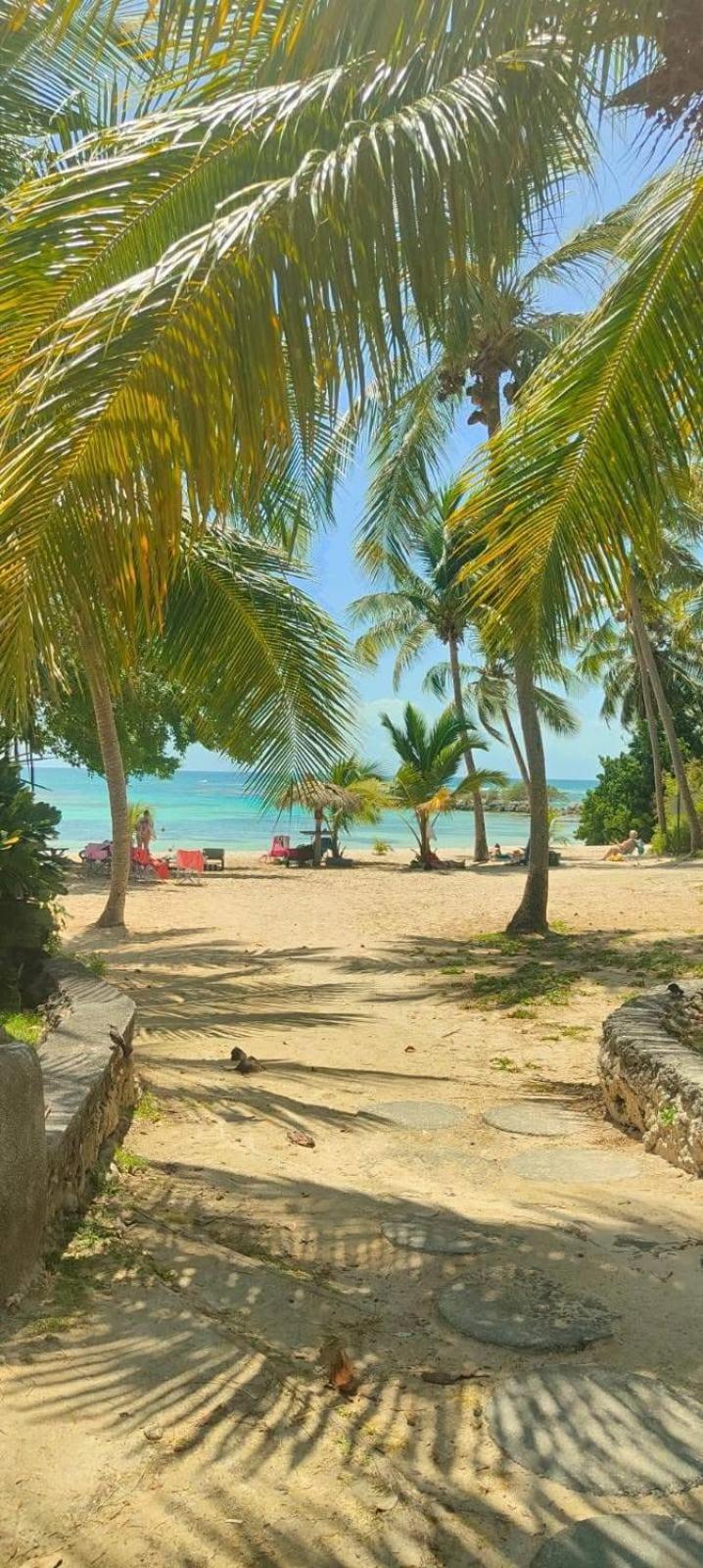 Studio Mojito Vue Mer,Piscine Avec Cuve Eau Et Acces Plage Et Piscine Anse Des Rochers Saint-Francois  Eksteriør bilde